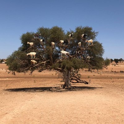 Marruecos