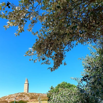 Galicia