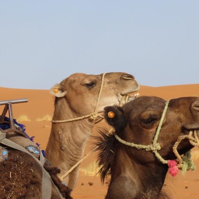 Marruecos