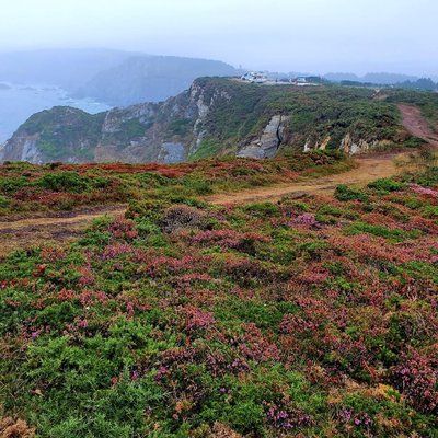 Galicia