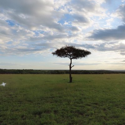 África